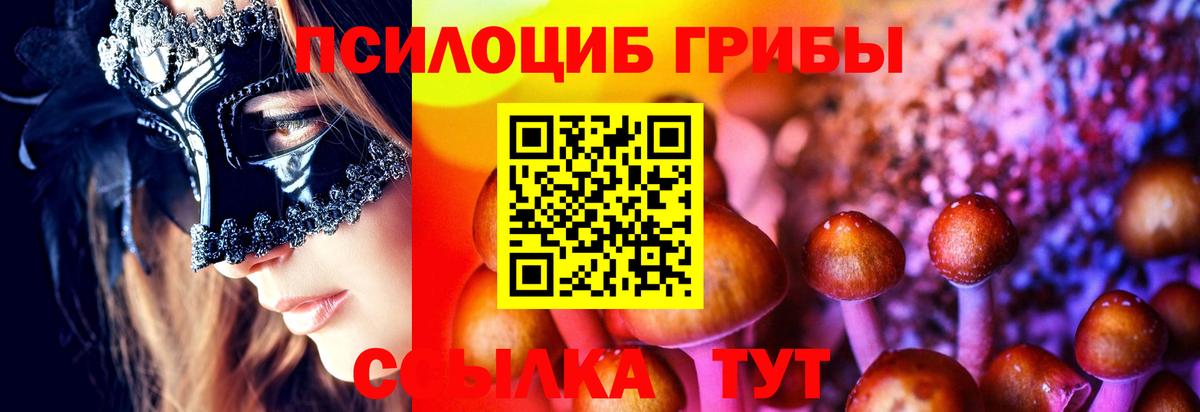 Псилоцибиновые грибы Psilocybine cubensis Семилуки