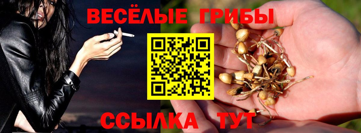 Галлюциногенные грибы прущие грибы  Вход с VPN  Семилуки  Галлюциногенные грибы ЛСД 